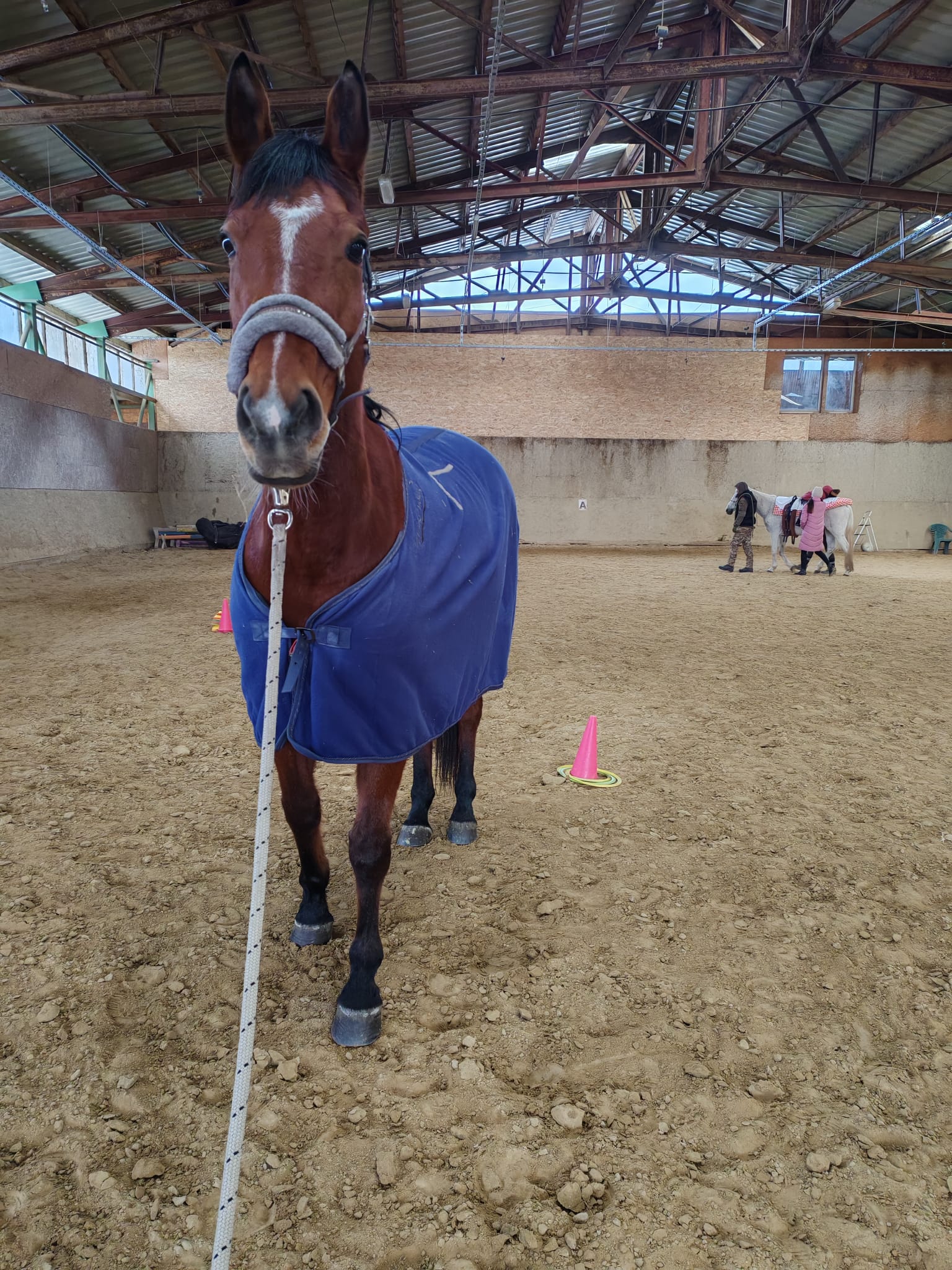 WhatsApp Image 2026-01-09 at 13.33.16