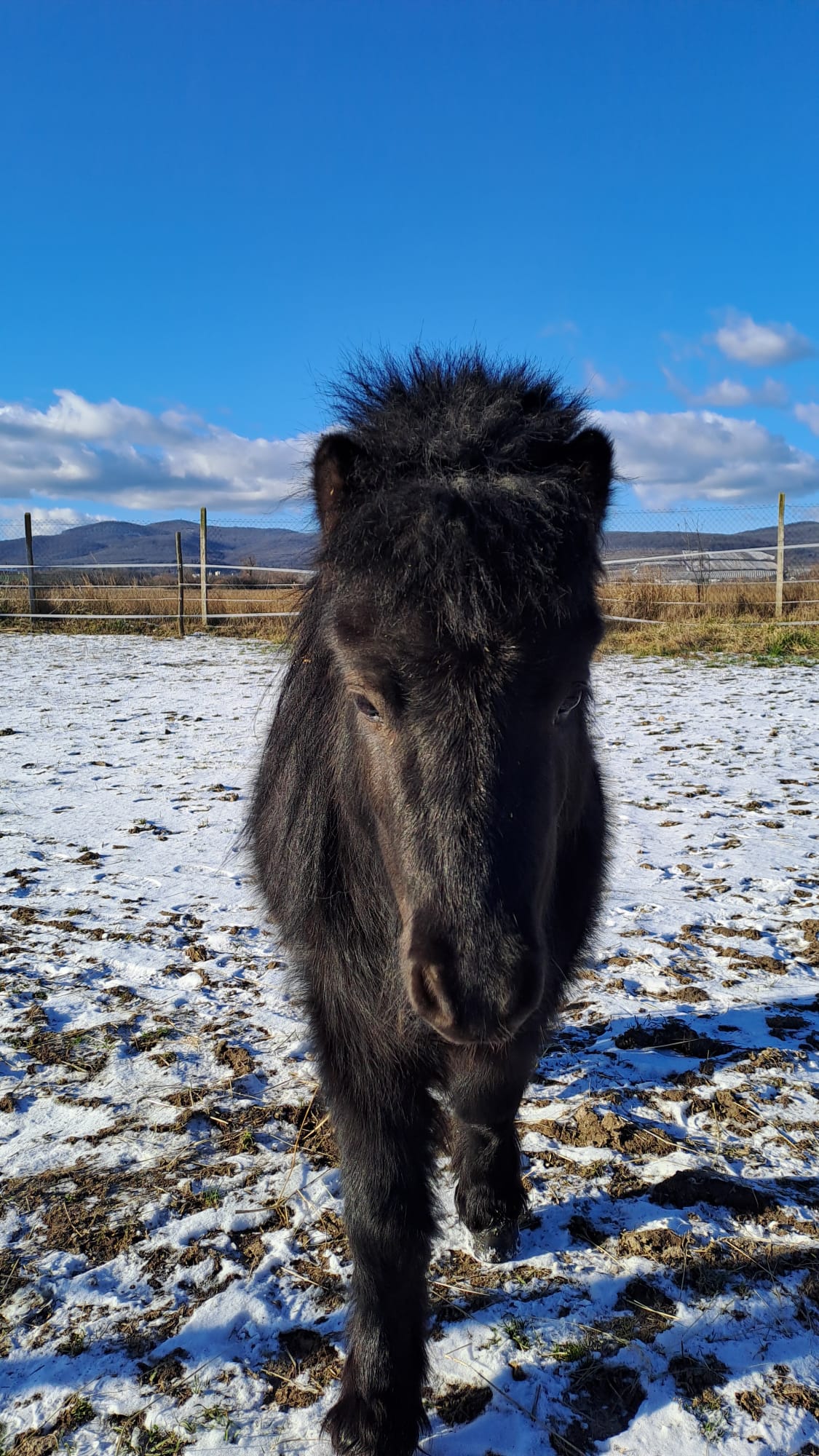 WhatsApp Image 2026-01-09 at 13.35.43